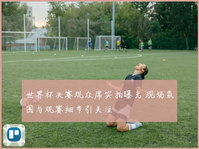 世界杯决赛观众席实拍曝光 现场氛围与观赛细节引关注