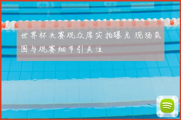 世界杯决赛观众席实拍曝光 现场氛围与观赛细节引关注