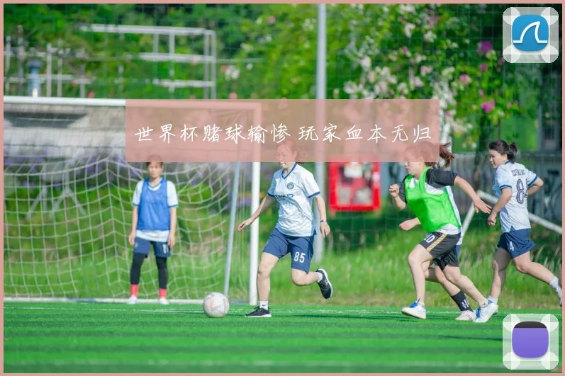 世界杯赌球输惨 玩家血本无归