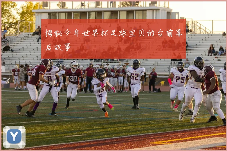 揭秘今年世界杯足球宝贝的台前幕后故事