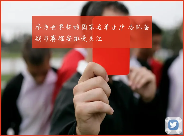 参与世界杯的国家名单出炉 各队备战与赛程安排受关注