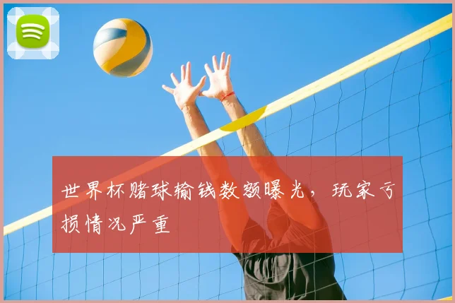 世界杯赌球输钱数额曝光,玩家亏损情况严重