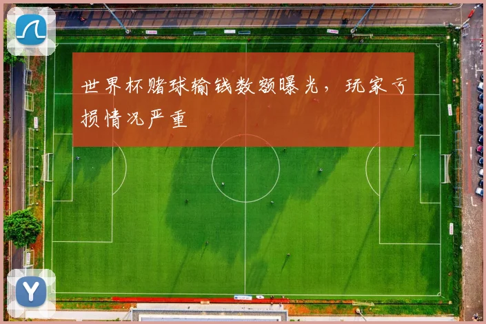 世界杯赌球输钱数额曝光,玩家亏损情况严重