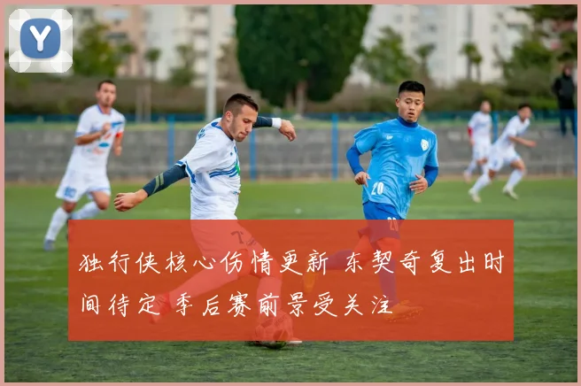 独行侠核心伤情更新 东契奇复出时间待定 季后赛前景受关注
