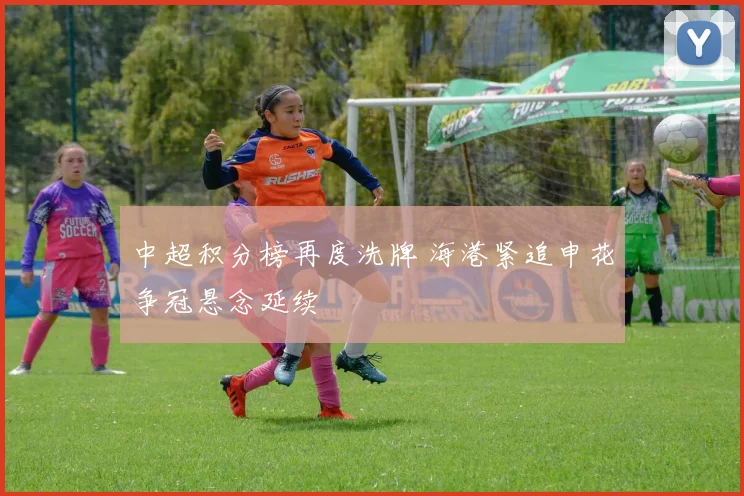 中超积分榜再度洗牌 海港紧追申花争冠悬念延续