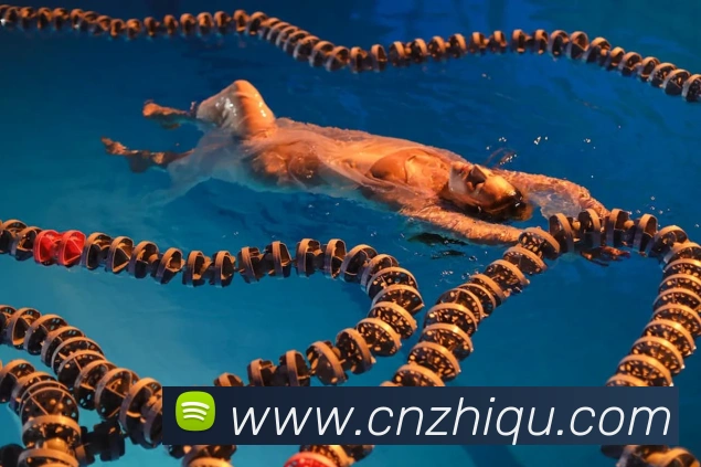 bandao体育官网发展历程